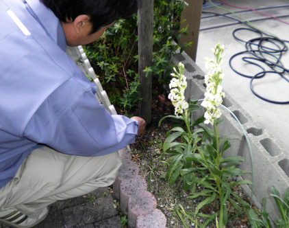 新築シロアリ防除工事